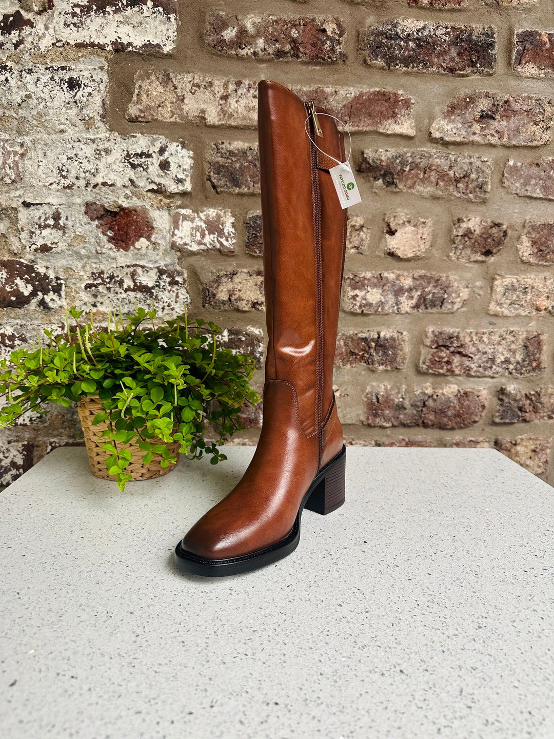 Patrizio Como Villandry Tan Long Boot