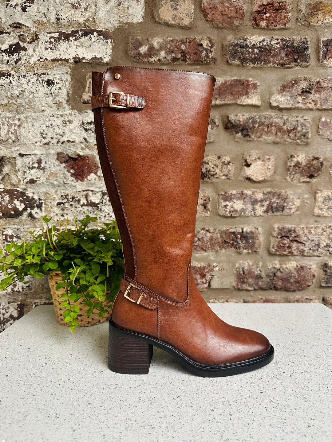 Patrizio Como Villandry Tan Long Boot