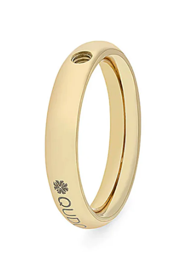 Qudo Basic Small Interchangeable Ring Gold