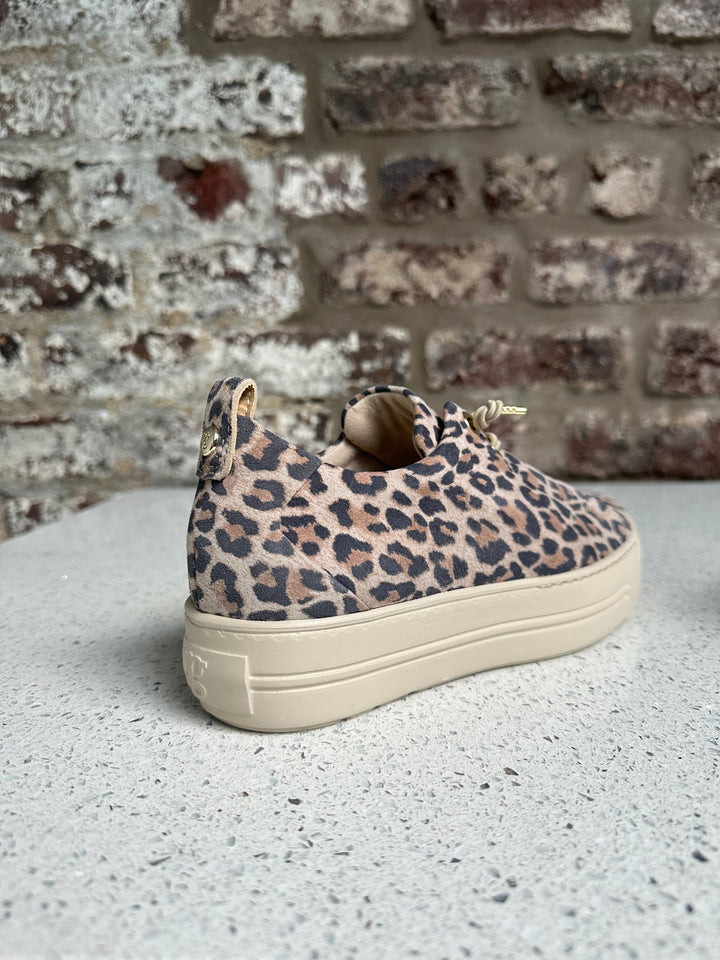 Paul Green Desert Leopard Print