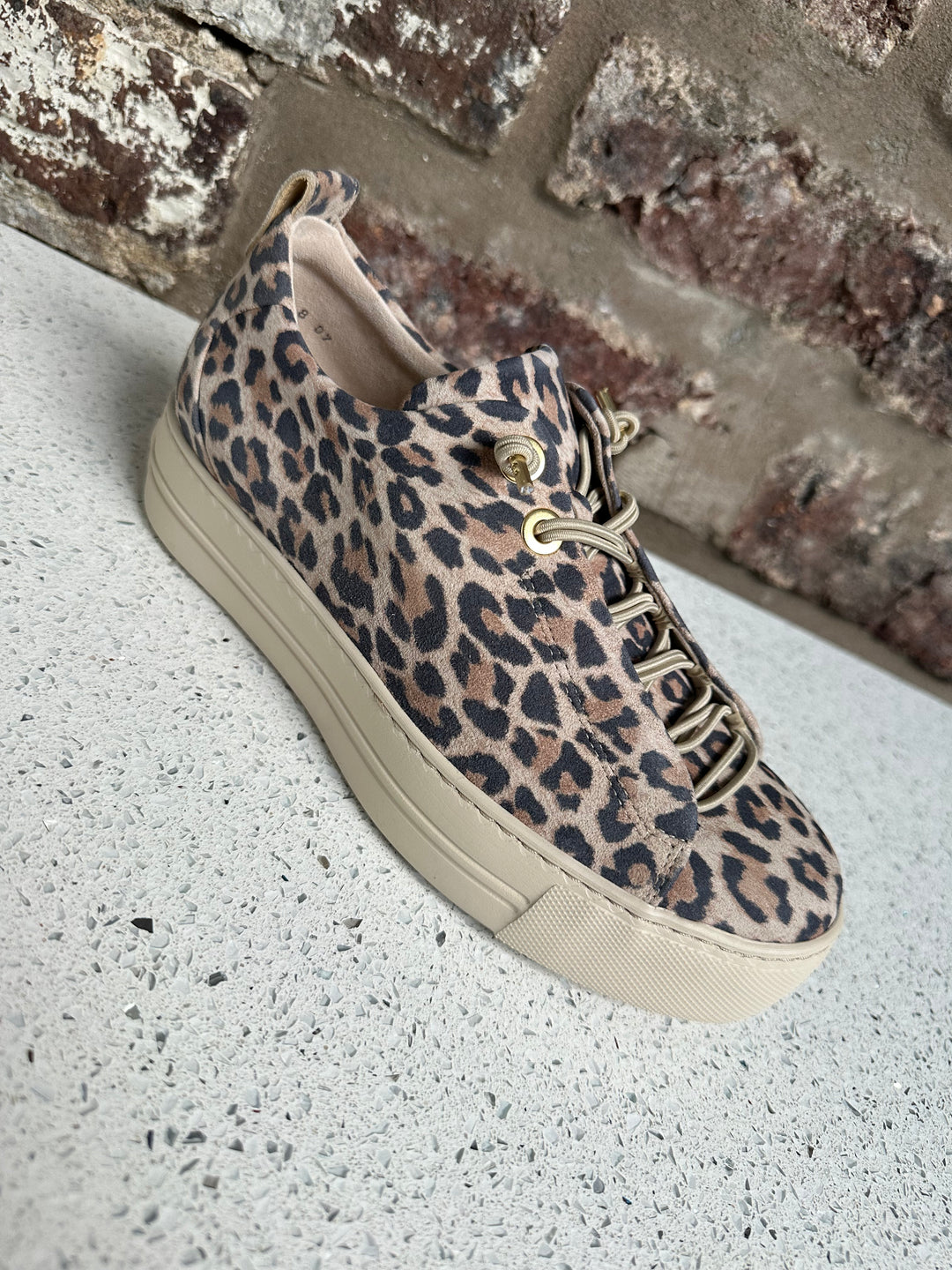 Paul Green Desert Leopard Print